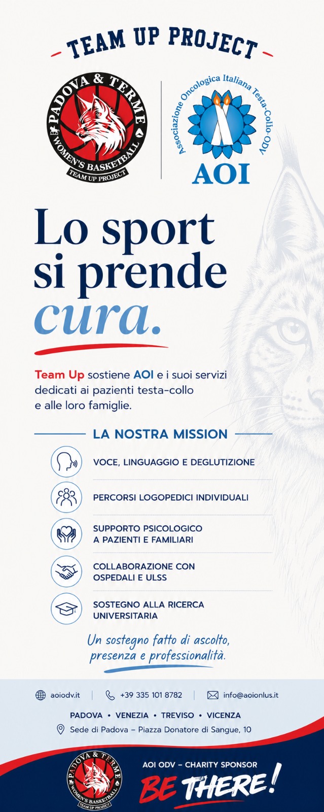 Partnership Team Up Aoi